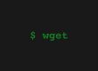 wget nasıl kullanılır